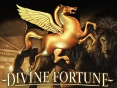 Divine Fortune